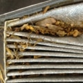 When Should You Replace Your Cabin Air Filter?